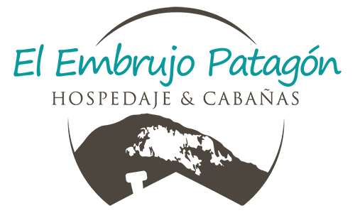 logo-03